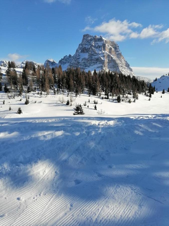 Appartamento Alto Cordevole Колле-Санта-Лучія Екстер'єр фото